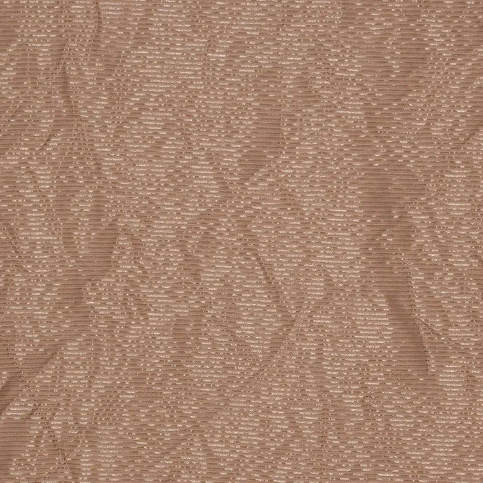 RADION CAMEL