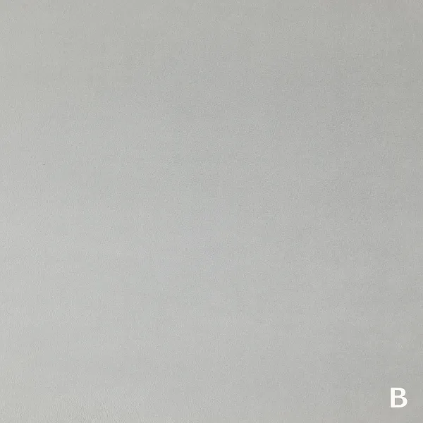 TWICE 01 A GRIFFIN_B SILVER 