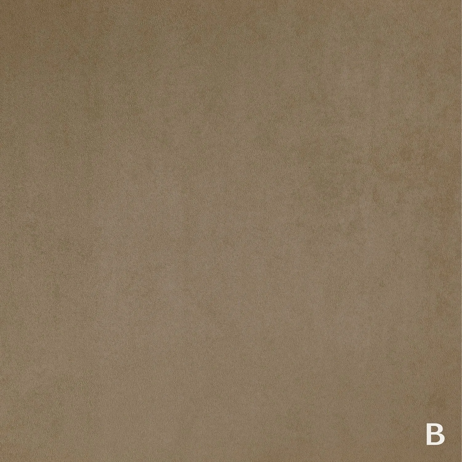 TWICE 12 A ALMOND_B ANTELOPE 