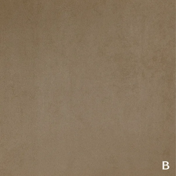 TWICE 12 A ALMOND_B ANTELOPE 