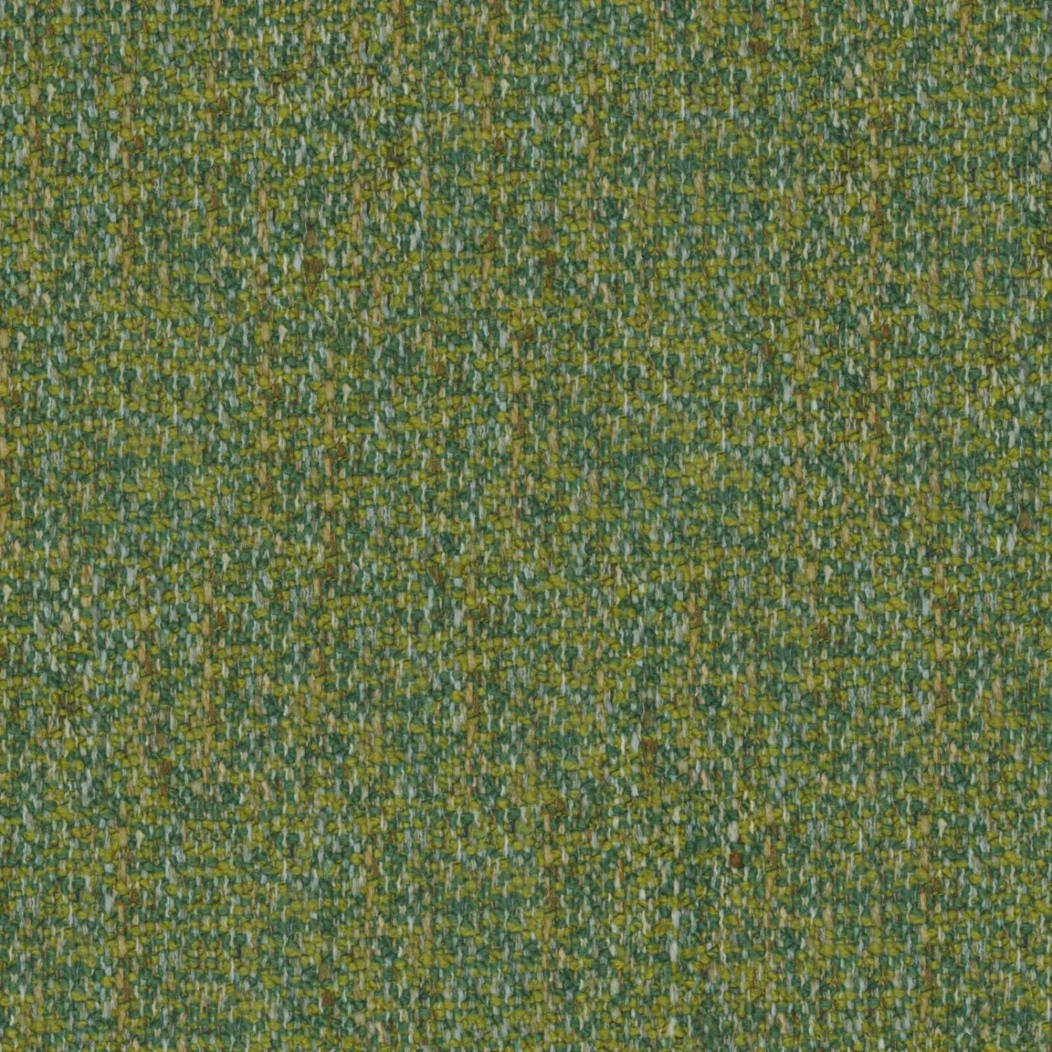 MINGLE MANGLE 06 TURTLE 