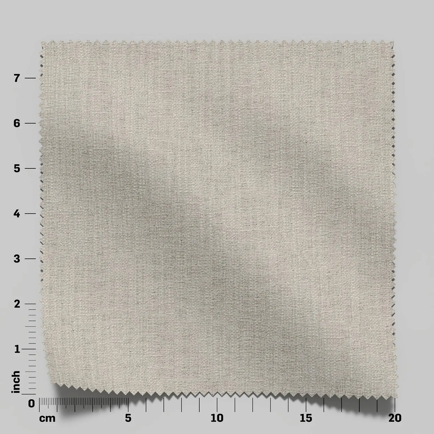 WISDOM 08 CHINCHILLA 