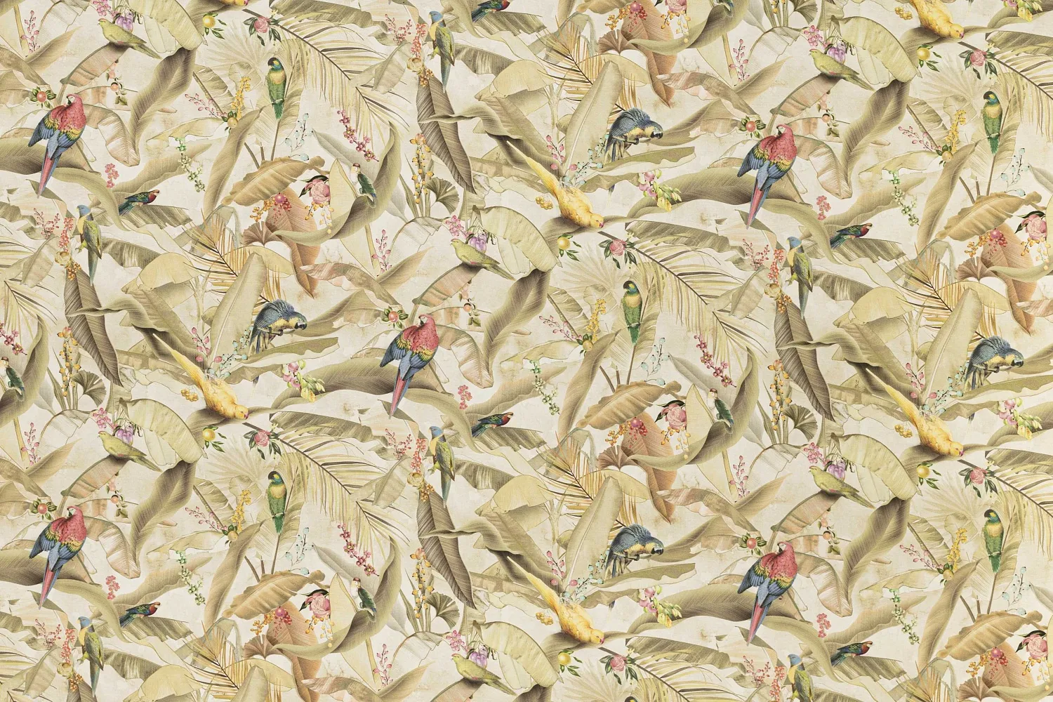 ZAMIFLORA 03 NATURAL 