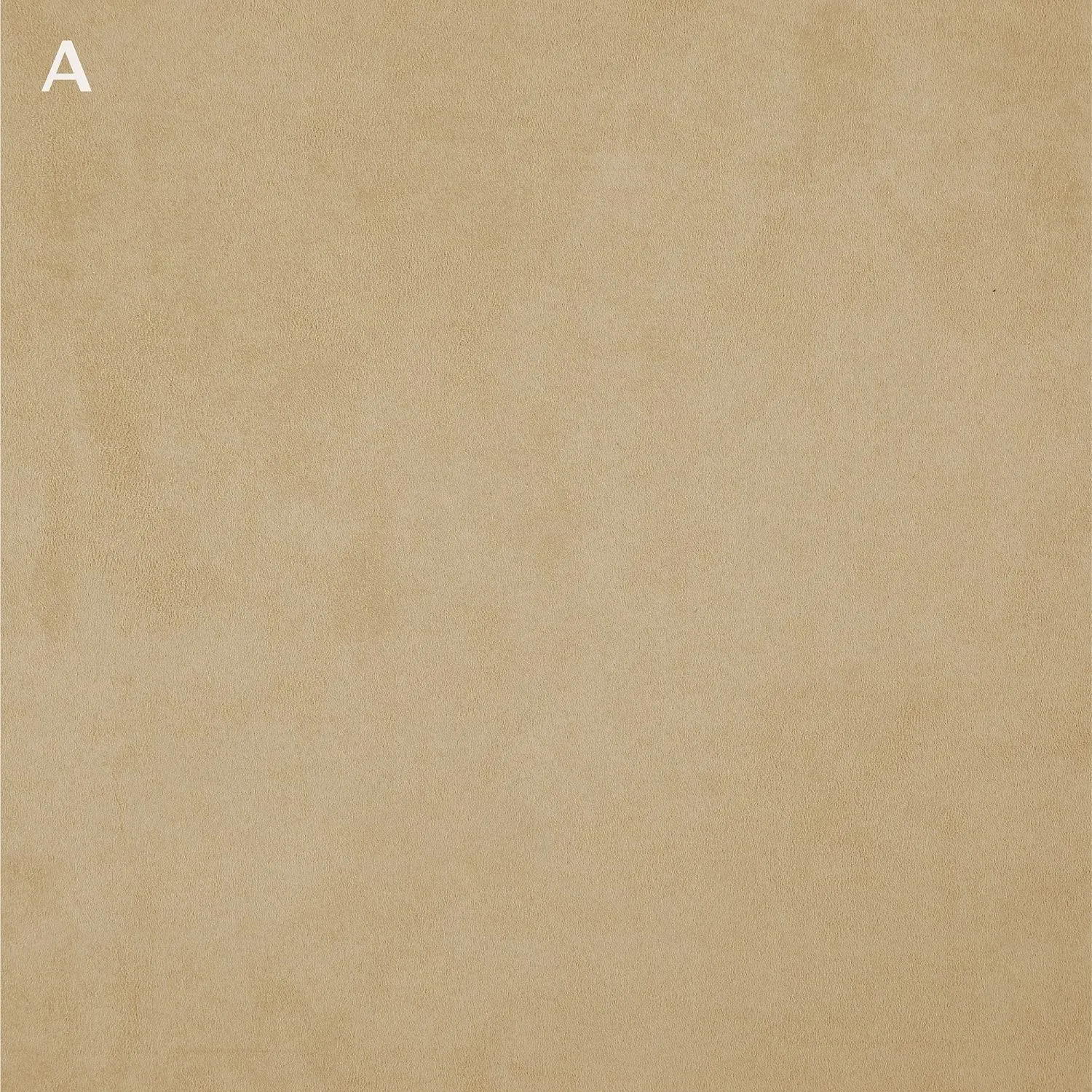 TWICE 12 A ALMOND_B ANTELOPE 