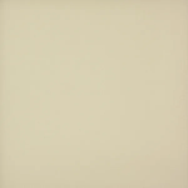 VISION 17 CAMEL (BRU) 