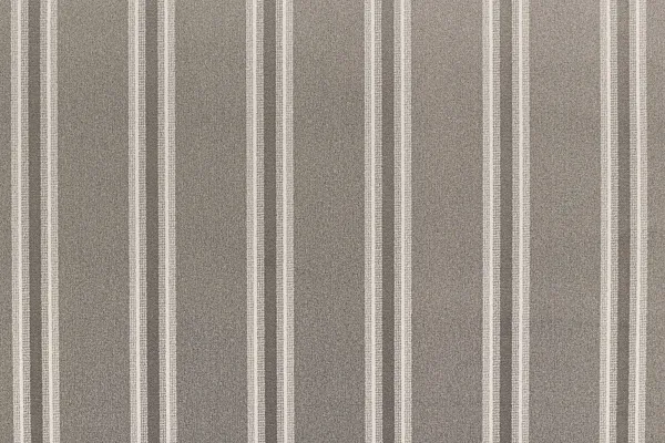 TRACK STRIPE THUNDER 