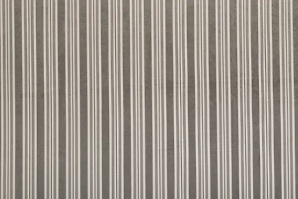 ROMAN STRIPE THUNDER 