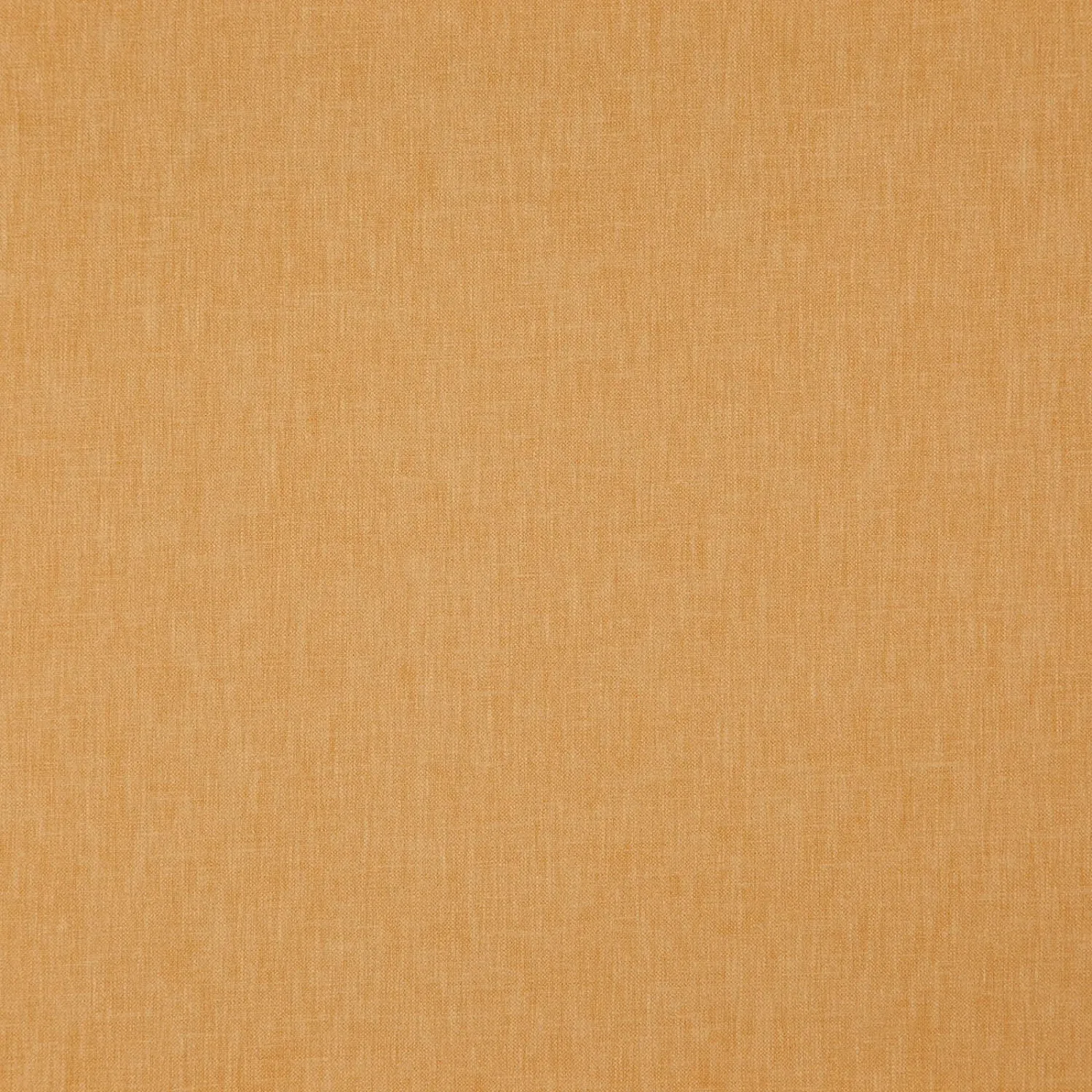 NAVARRA 20 SUNFLOWER 