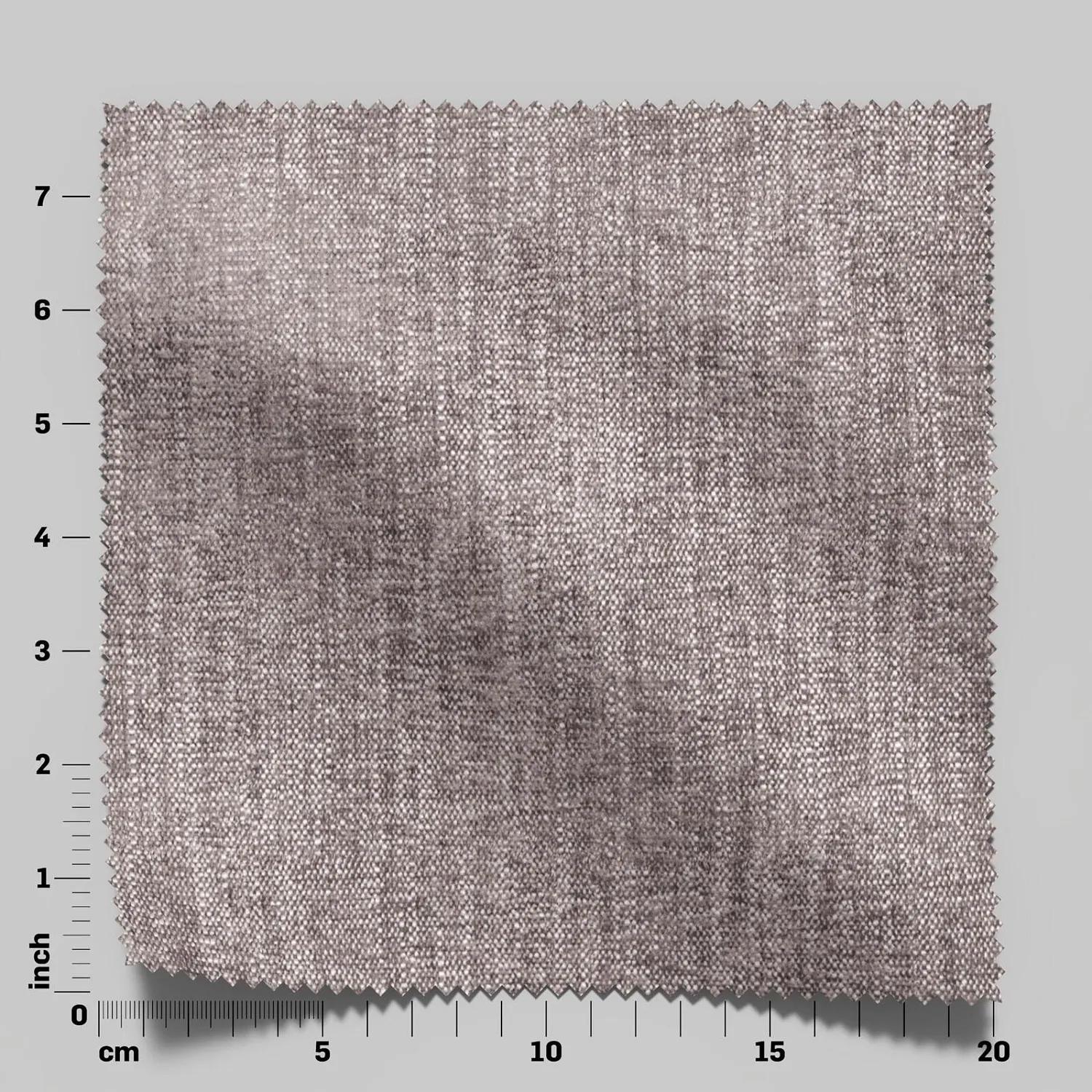 TREZOR 29 CHINCHILLA 