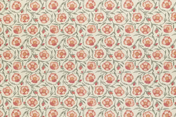 PONDICHERRY TRAIL CORALBERRY 