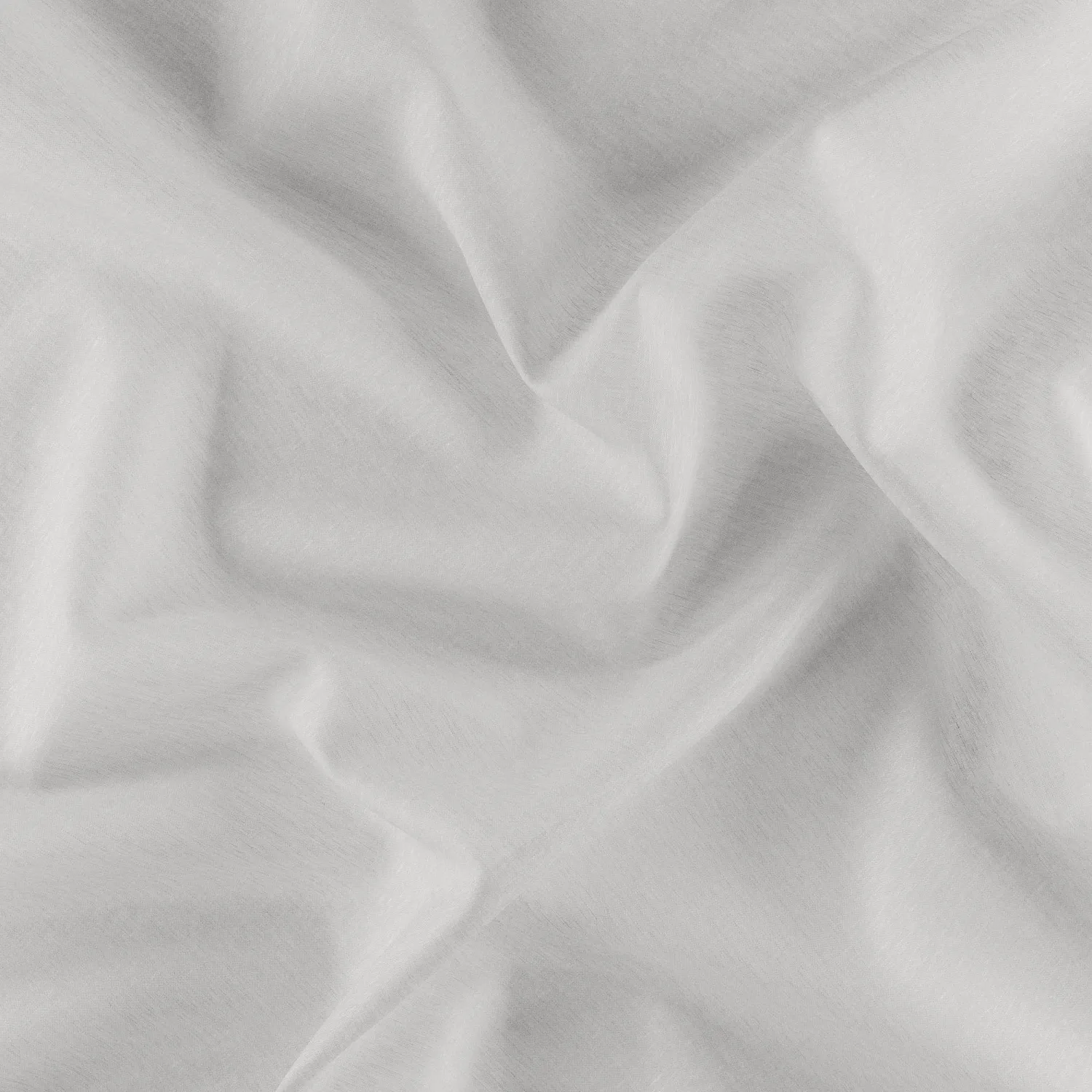 DAY BREAK 29 MUSHROOM 