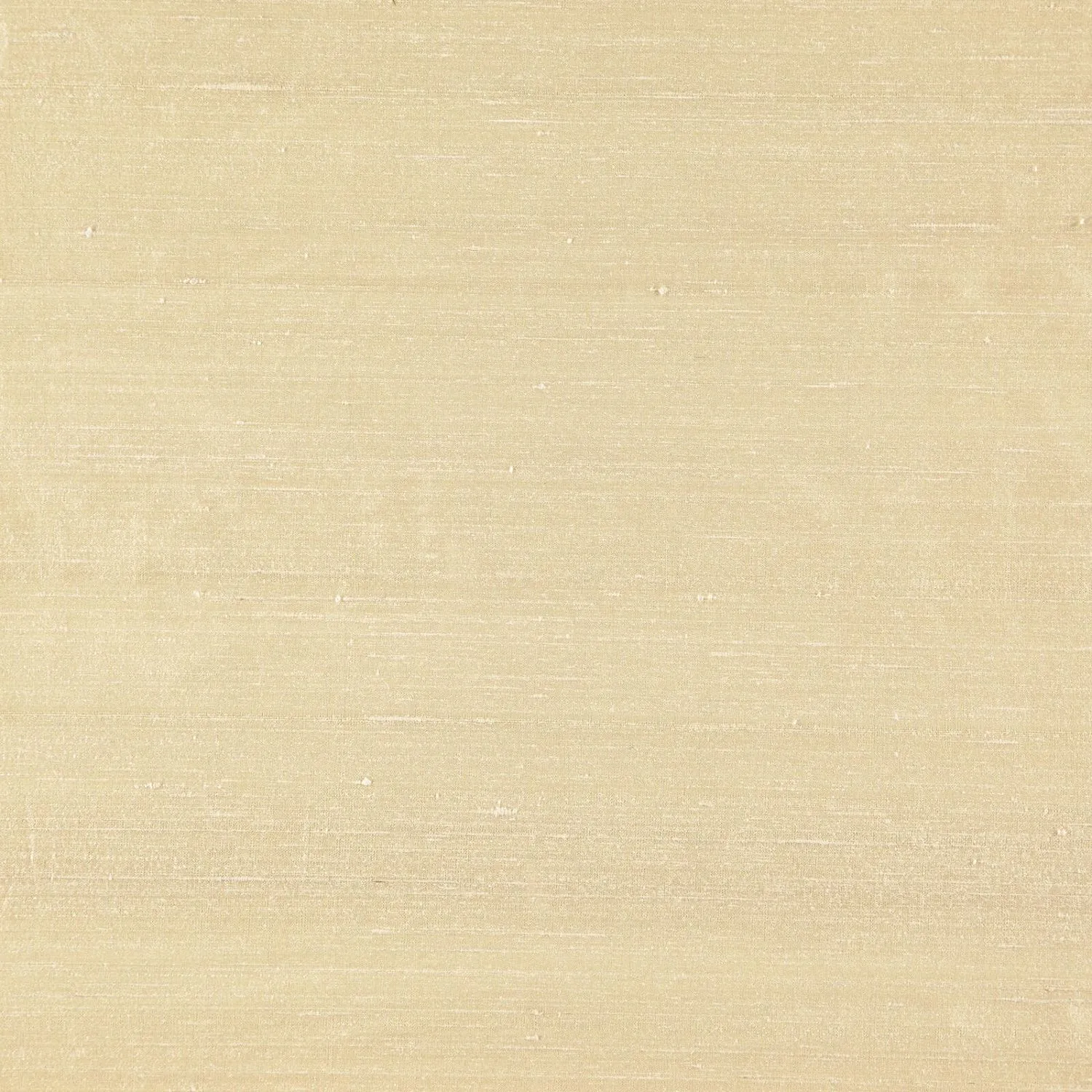 LUXURY 016 CHAMPAGNE 