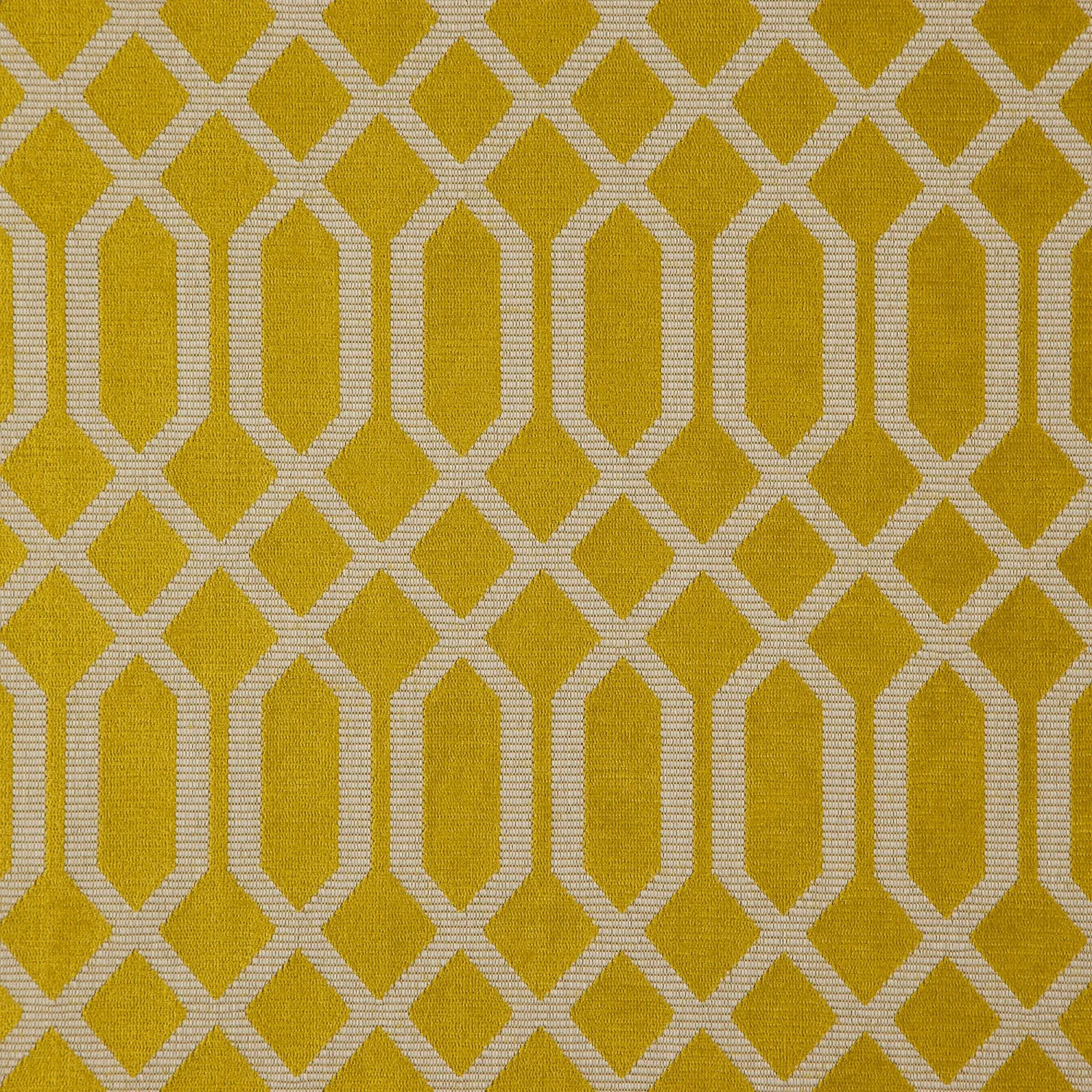 SARASOTA 39 CHARTREUSE 