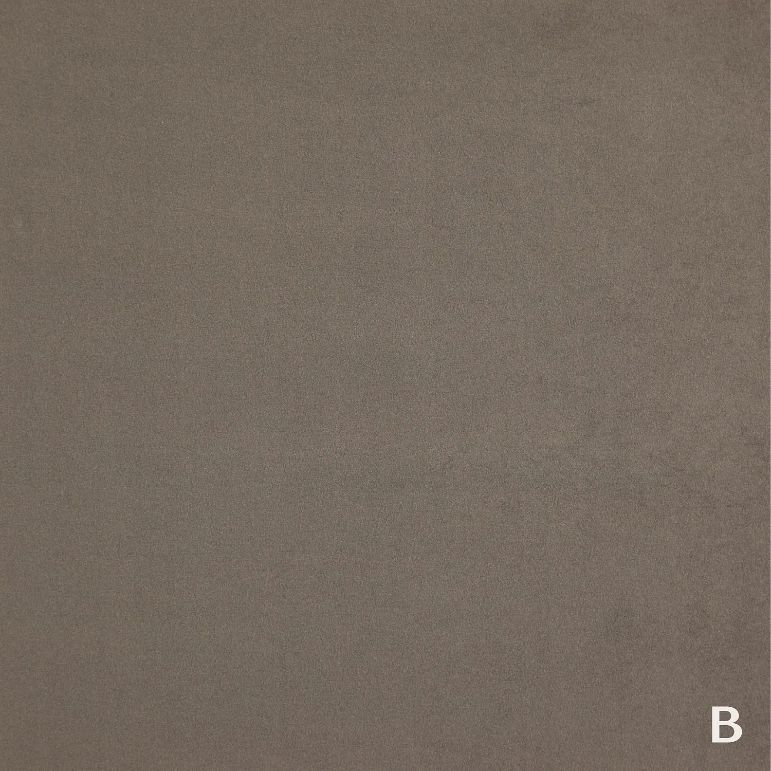 TWICE 14 A WALNUT_B MUSHROON 