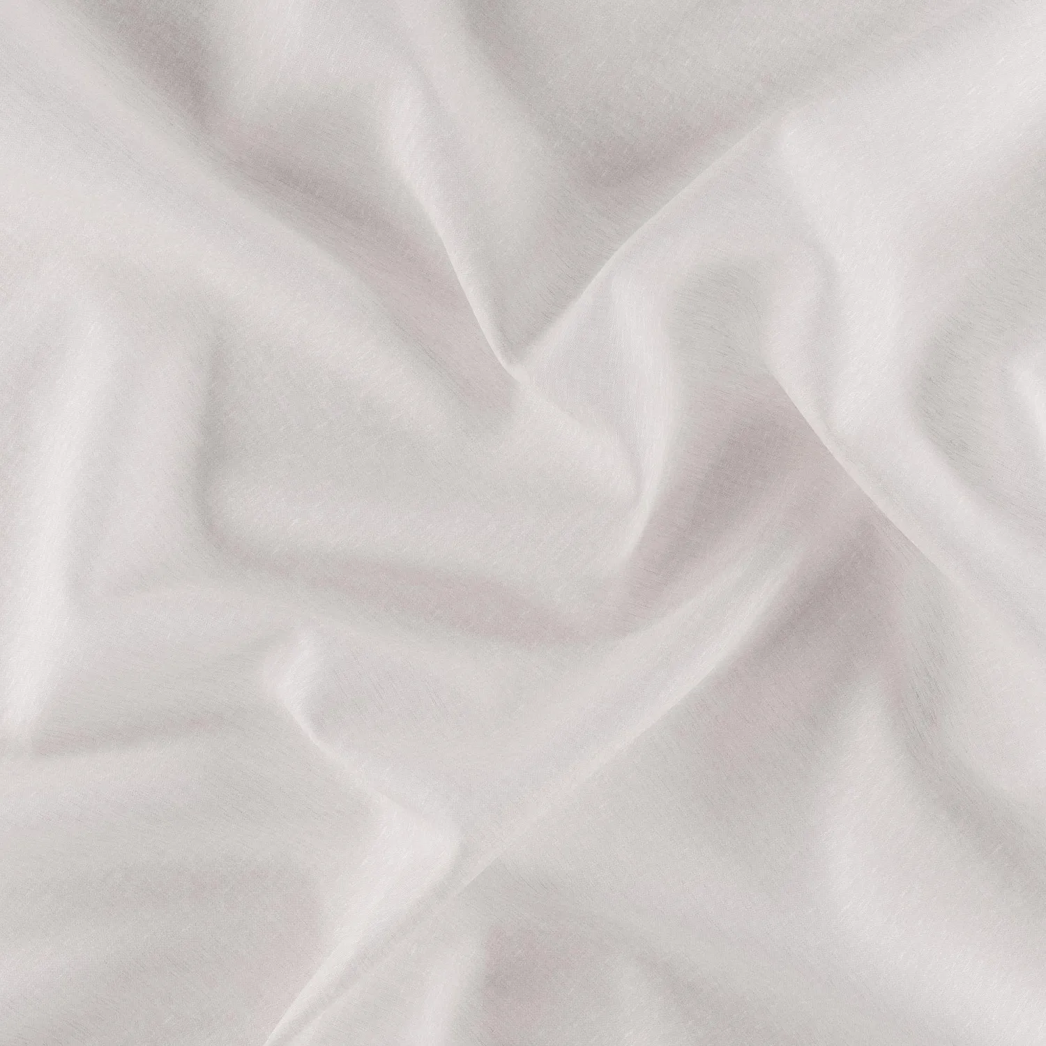 DAY BREAK 37 BLOSSOM 