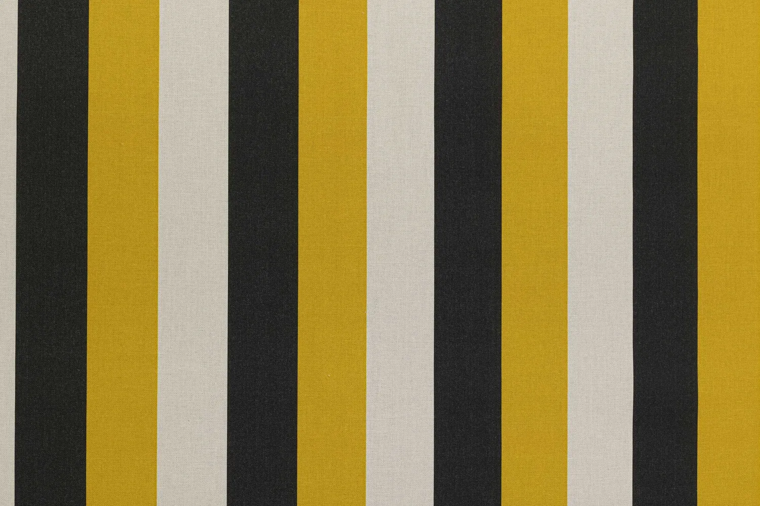 PAMPA STRIPE GA GOLD 