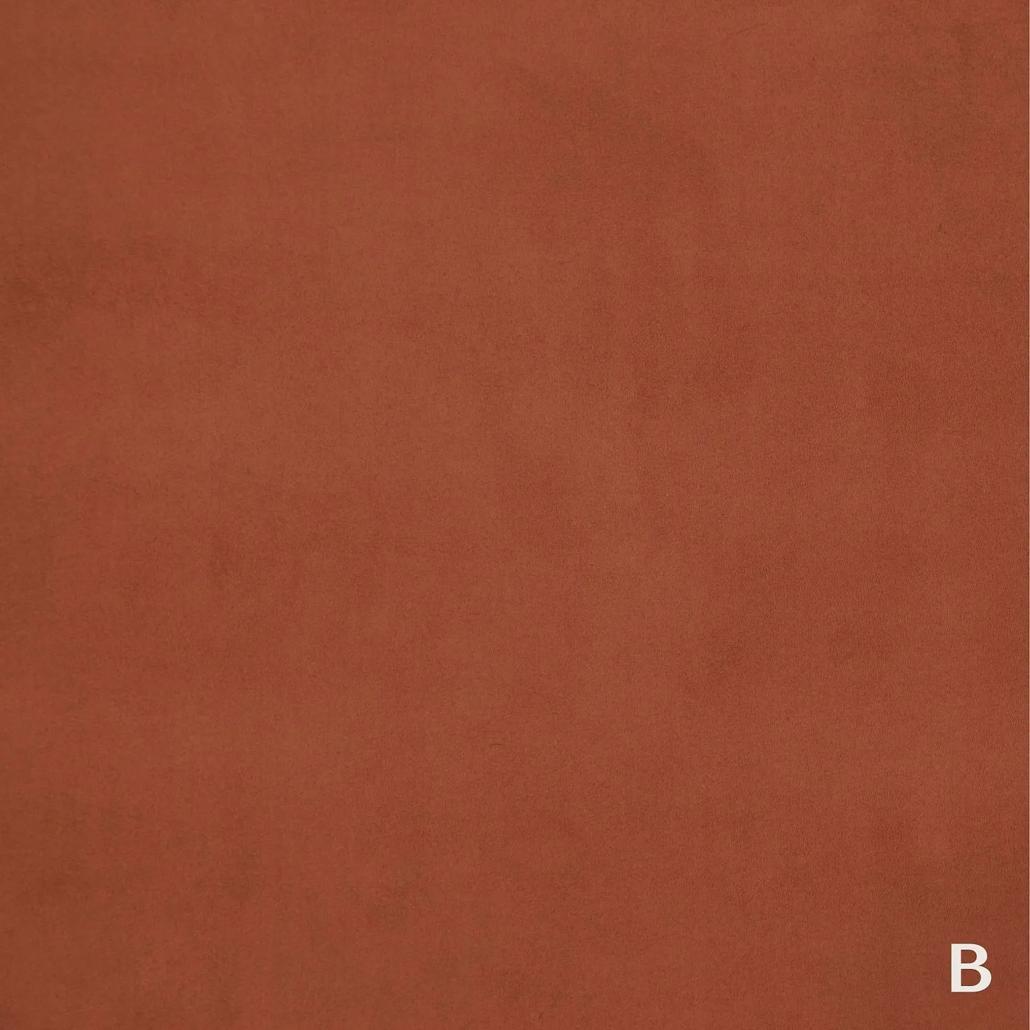 TWICE 20 A PAPRIKA_B CANYON 