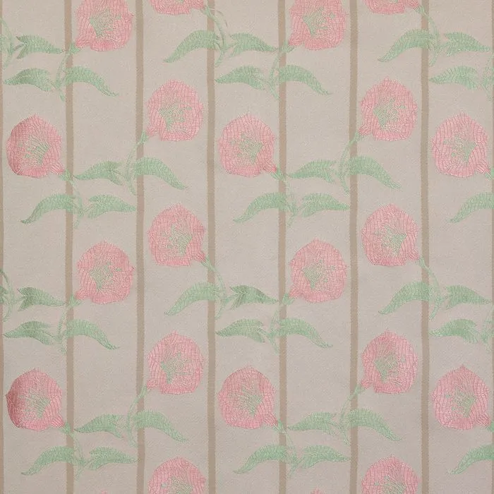 CAMPANULE 71 PINK ALMOND 