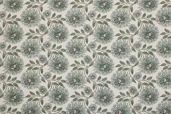 DAHLIA TRAIL JUNIPER 