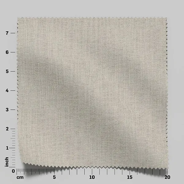 WISDOM 08 CHINCHILLA 