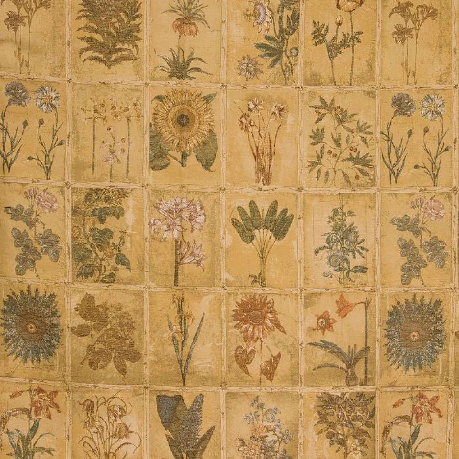 BOTANICAL 303 GOLD 