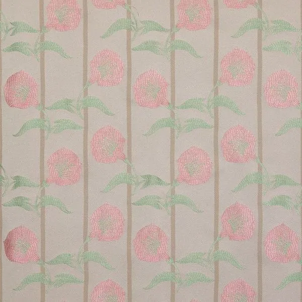 CAMPANULE 71 PINK ALMOND 