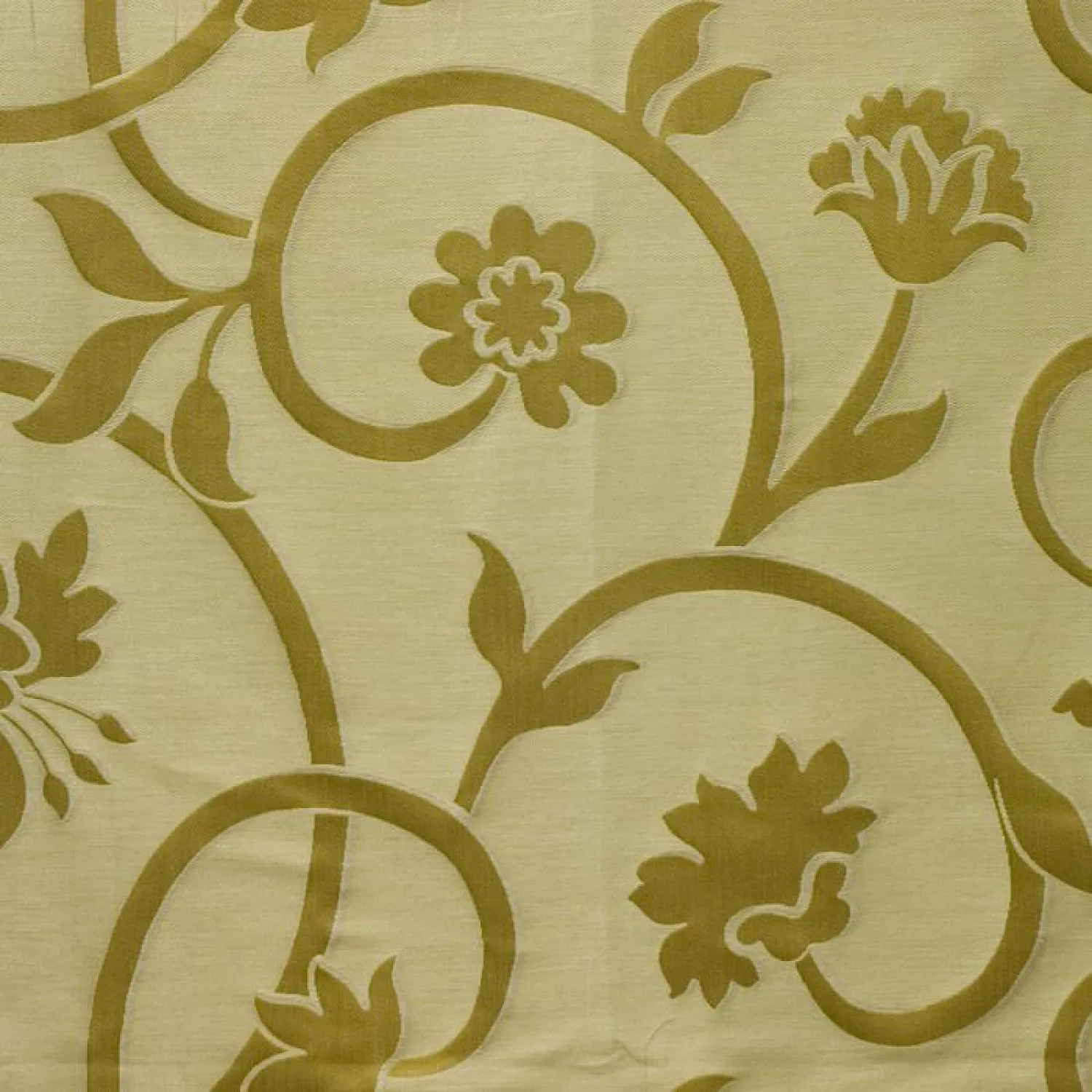 BELTIGLIO 3022 BEIGE GOLD 
