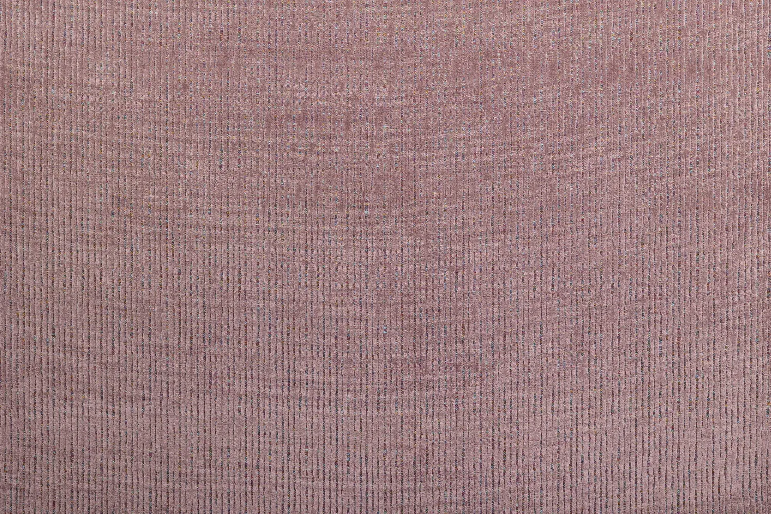 MARDI GRAS 14 BLOSSOM 