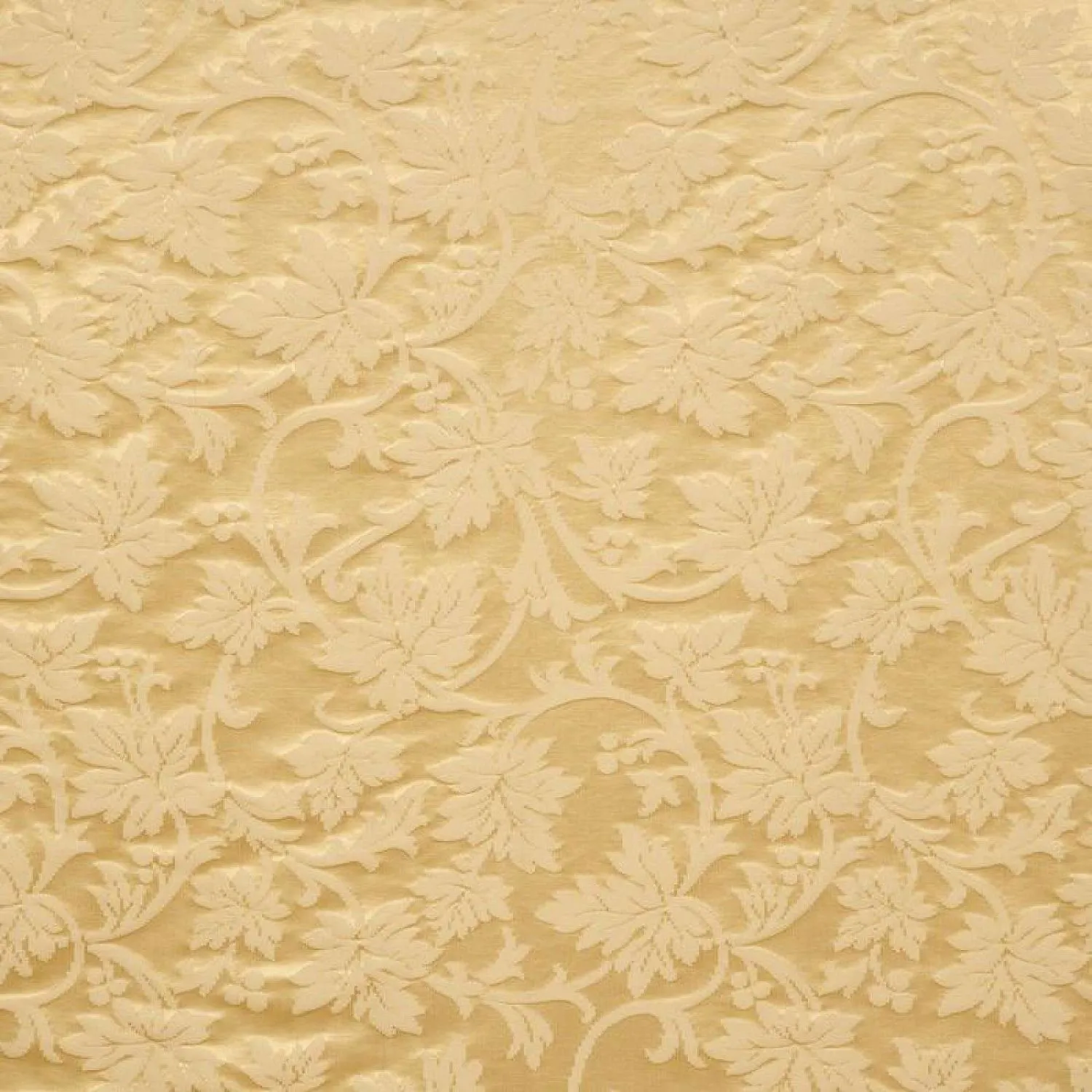 IVY 3122 VANILLE 