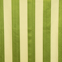 ANGEL & MUSIC STRIPE 6 GREEN  Коллекция EXCLUSIVE