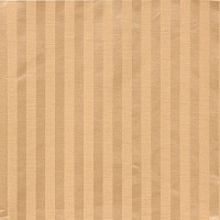 STRIPE AMORINI 23 CREAM  Коллекция EXCLUSIVE